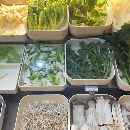 شقة Chinese With Airport Pickup Frankfurt Messe Hall3 Ish Light And Sound Fair With Pickup